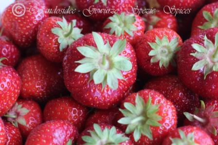 Erdbeeren