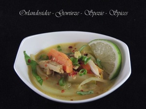 Thailändische Hühnchen Suppe - Lecker kochen mit Gewürzen von Orlandosidee